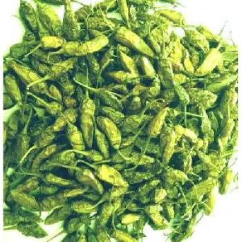 Fresh  Dry Green Chilli